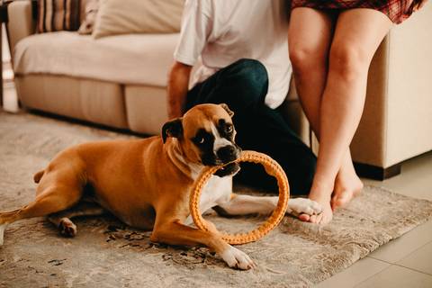 ensaio_gestante_edneia_raisa_mello_fotografia_florianopolis '