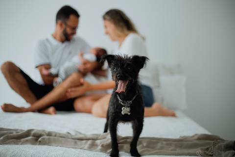 nsaio_newborn_life_style_raisa_mello_fotografia_palhoça_estudio_raisa'