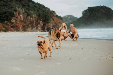 ensaio_gestante_itajai_praia_brava_nicole_a_espera_da_martina'