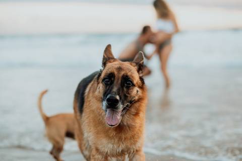 ensaio_gestante_itajai_praia_brava_nicole_a_espera_da_martina'