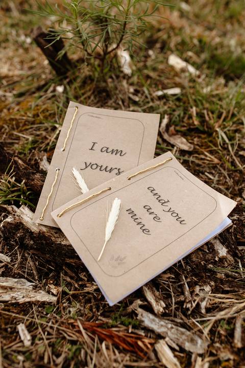 elopement_mini_wedding_urubici_raisa_mello_fotografia_casamento_campo_serra'