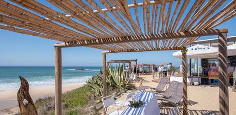 magic cactus praia vieirinha alentejo'