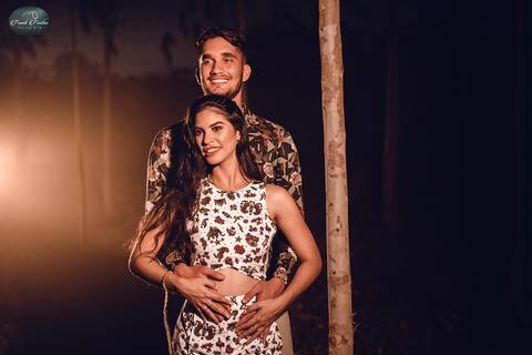 Foto a noite nos eucaliptos com farol de carro'