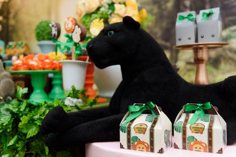 Fotografia Festa Infantil: 1 ano de Felipe, Buffet Na Selva, em Salvador/BA.'