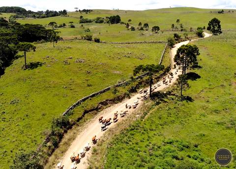 Com a tropa na estrada'