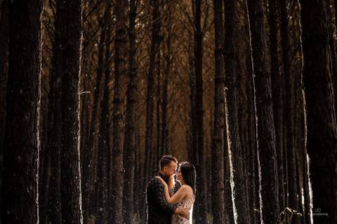 Ensaio pre-casamento com chuva, na floresta de pinos por Adriano Oening'