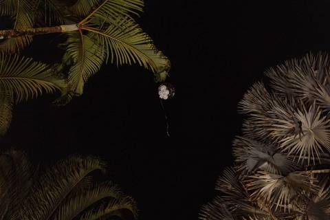 Casamentos no MS.Garden em Rio Bonito'