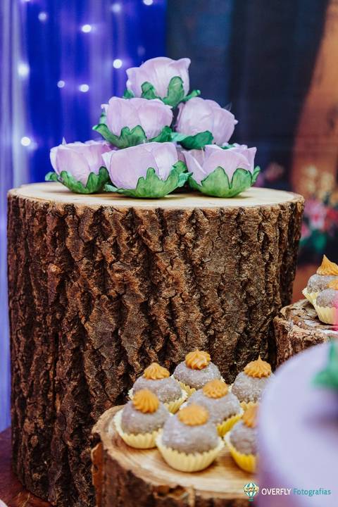 Aniversário Infantil em Niterói - RJ'