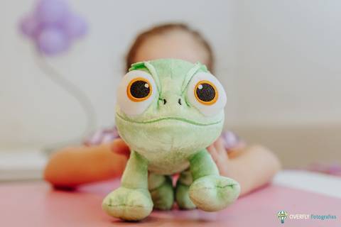 Aniversário Infantil em SALÃO de festas em Niterói - RJ'