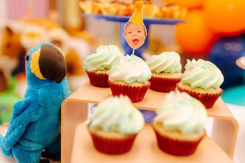 fotografia de festa infantil RJ'