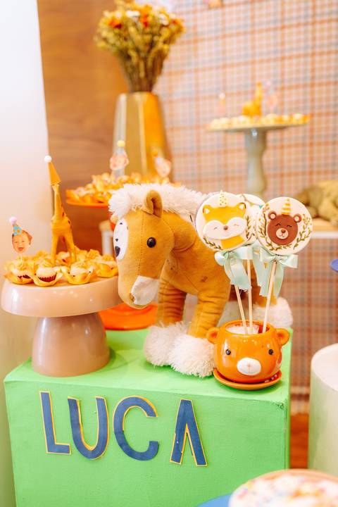 fotografia de festa infantil RJ'