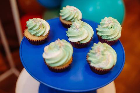 fotógrafo de aniversário 1 ano Rio de Janeiro'