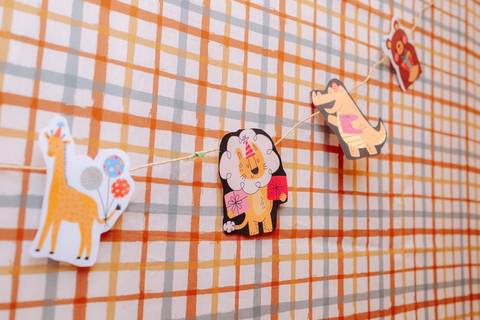 fotógrafo de aniversário 1 ano Rio de Janeiro'