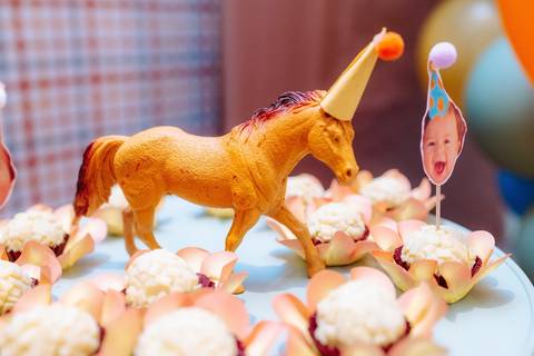 fotógrafo de aniversário 1 ano Rio de Janeiro'