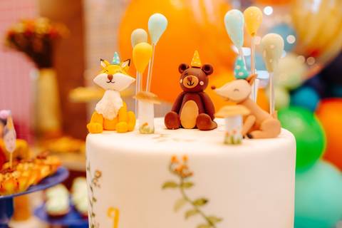 fotografia de festa infantil RJ'