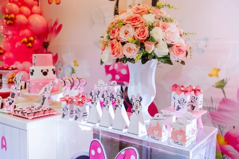 ensaio fotográfico festa infantil RJ'