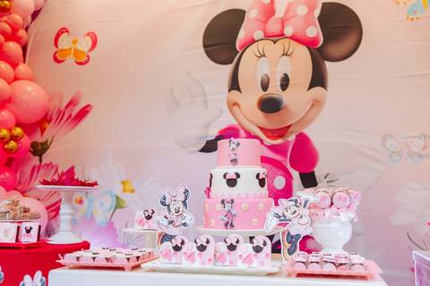 fotógrafo para aniversário 4 anos RJ'