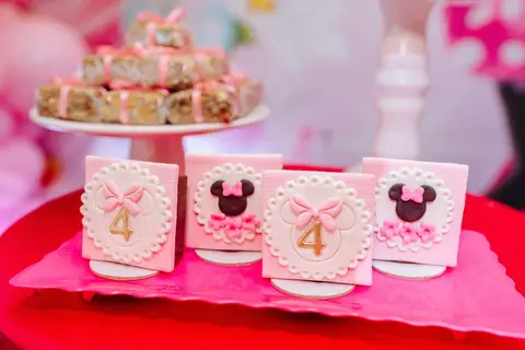 fotógrafo para aniversário 4 anos RJ'