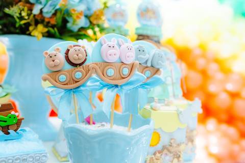 fotógrafo de aniversário infantil em Niterói'