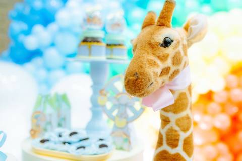 fotógrafo de aniversário infantil em Niterói'