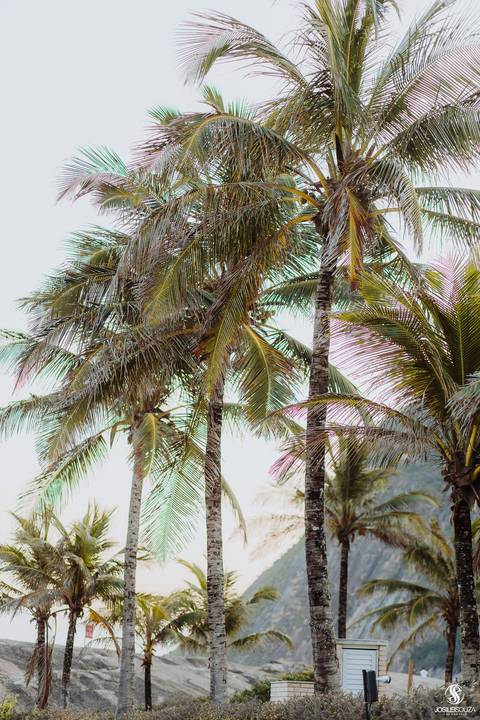 fotógrafo especializado em debutantes no Rio de Janeiro'