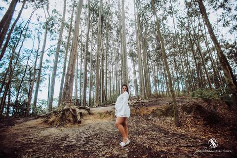 Bosque dos Eucaliptos em  Niterói'