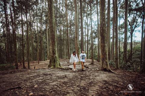 Bosque dos Eucaliptos em  Niterói'
