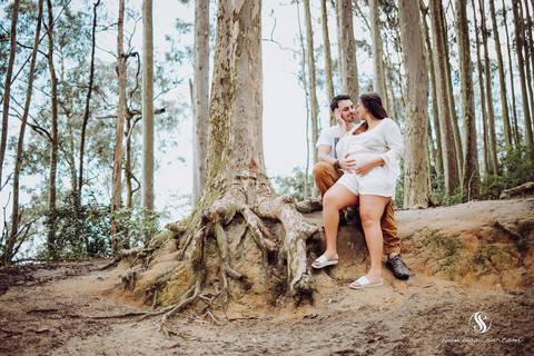 Bosque dos Eucaliptos em  Niterói'