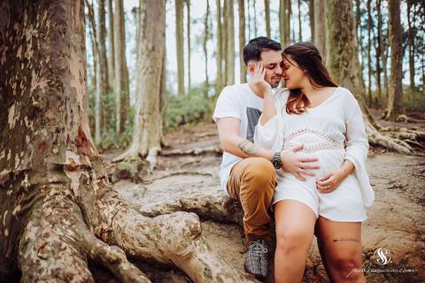 Bosque dos Eucaliptos em  Niterói'