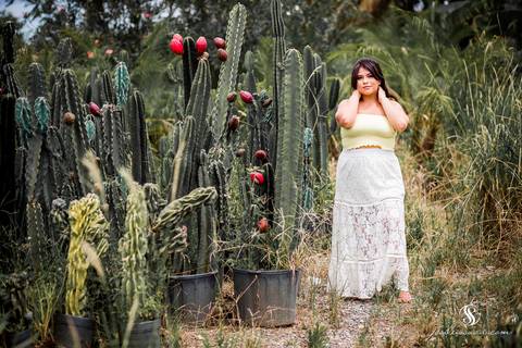 Fotografia de Debutante Rio de Janeiro, , Reserva Plantas na Estrada do Pacheco'
