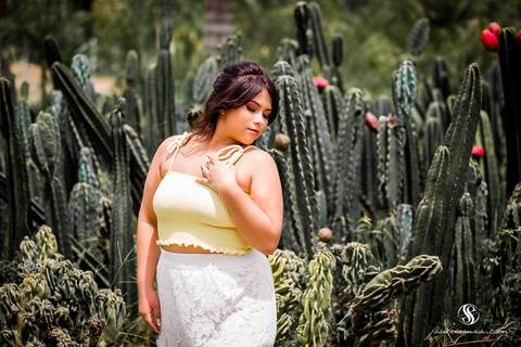 Fotografia de Debutante Rio de Janeiro, Reserva Plantas na Estrada do Pacheco'