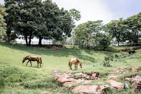 Ensaio de 15 anos RJ'