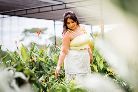 Fotografia de Debutante Rio de Janeiro, , Reserva Plantas na Estrada do Pacheco'