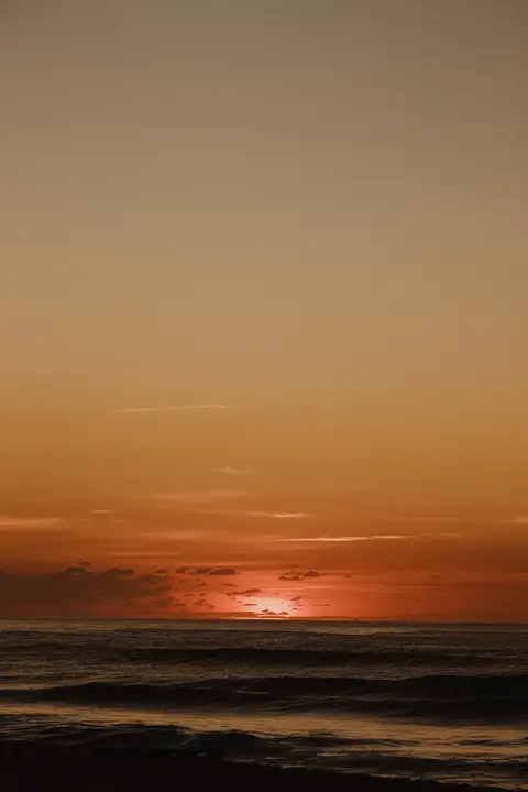 '