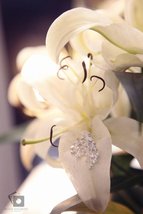 making-of-casamento-nathany-rebeka-toledo-rio-das-ostras-macae-rio-de-janeiro-marlon-nascimento-photography-fotografia'