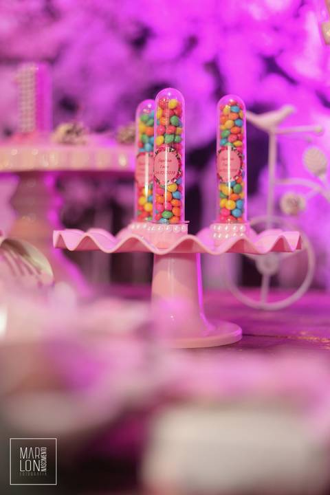 decoração-aniversário-saphira-espaço-lisboa-itaperuna-macaé-riodejaneiro-marlon-nascimento-fotografia'