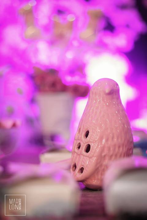 decoração-aniversário-saphira-espaço-lisboa-itaperuna-macaé-riodejaneiro-marlon-nascimento-fotografia'