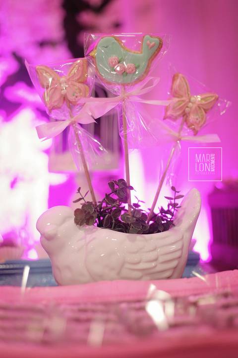 decoração-aniversário-saphira-espaço-lisboa-itaperuna-macaé-riodejaneiro-marlon-nascimento-fotografia'