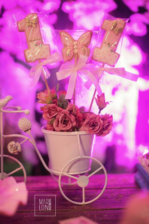 decoração-aniversário-saphira-espaço-lisboa-itaperuna-macaé-riodejaneiro-marlon-nascimento-fotografia'