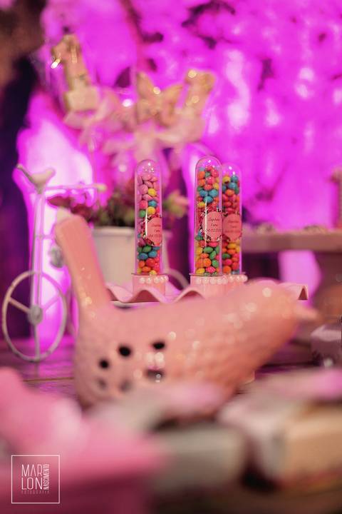 decoração-aniversário-saphira-espaço-lisboa-itaperuna-macaé-riodejaneiro-marlon-nascimento-fotografia'