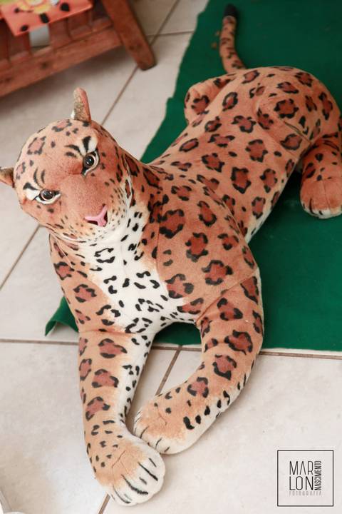 decoracao-aniversario-davi-condominio-mar-do-caribe-macae-riodejaneiro-marlon-nascimento-fotografia'