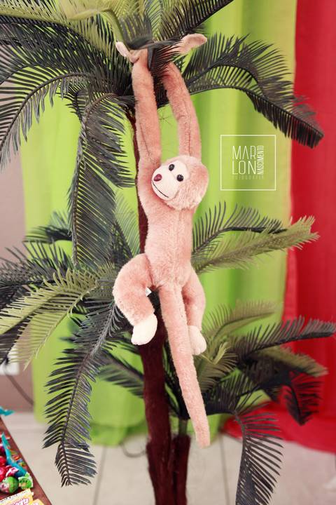 decoracao-aniversario-davi-condominio-mar-do-caribe-macae-riodejaneiro-marlon-nascimento-fotografia'