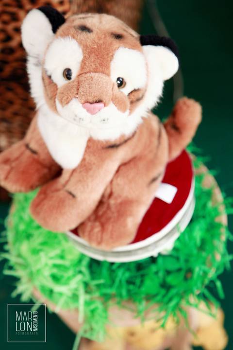 decoracao-aniversario-davi-condominio-mar-do-caribe-macae-riodejaneiro-marlon-nascimento-fotografia'