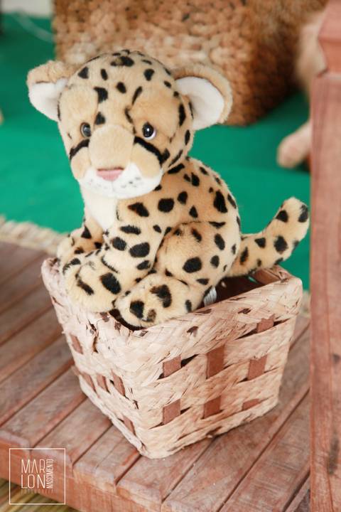 decoracao-aniversario-davi-condominio-mar-do-caribe-macae-riodejaneiro-marlon-nascimento-fotografia'