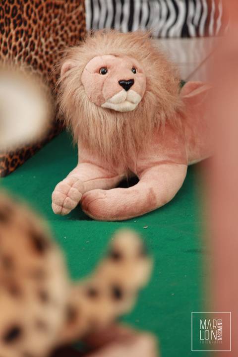 decoracao-aniversario-davi-condominio-mar-do-caribe-macae-riodejaneiro-marlon-nascimento-fotografia'