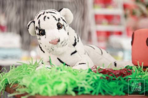 decoracao-aniversario-davi-condominio-mar-do-caribe-macae-riodejaneiro-marlon-nascimento-fotografia'