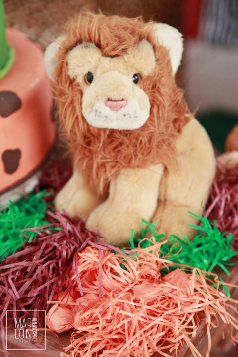 decoracao-aniversario-davi-condominio-mar-do-caribe-macae-riodejaneiro-marlon-nascimento-fotografia'