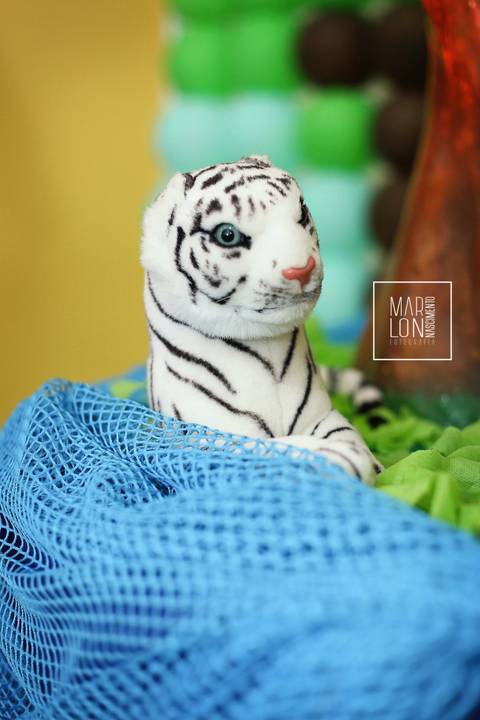 decoracao-eduardo-01-ano-mundo-magico-rio-das-ostras-marlon-nascimento-fotografia-macae-rio-de-janeiro'