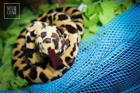 decoracao-eduardo-01-ano-mundo-magico-rio-das-ostras-marlon-nascimento-fotografia-macae-rio-de-janeiro'