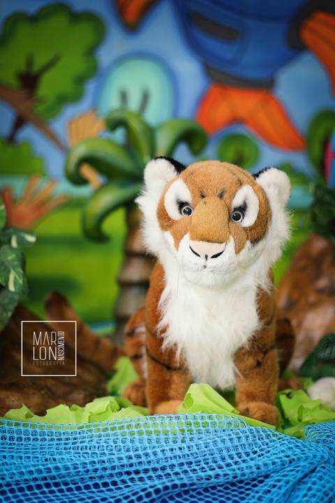 decoracao-eduardo-01-ano-mundo-magico-rio-das-ostras-marlon-nascimento-fotografia-macae-rio-de-janeiro'